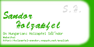 sandor holzapfel business card